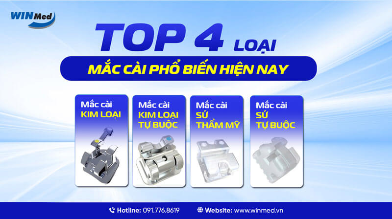 TOP 4 LOẠI MẮC CÀI PHỔ BIẾN HIỆN NAY