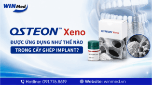 OSTEON Xeno – vật liệu ghép xương nha khoa